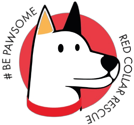 Red Collar Rescue shelter